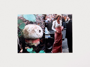 Princess Diana as Mushrooms Volume II