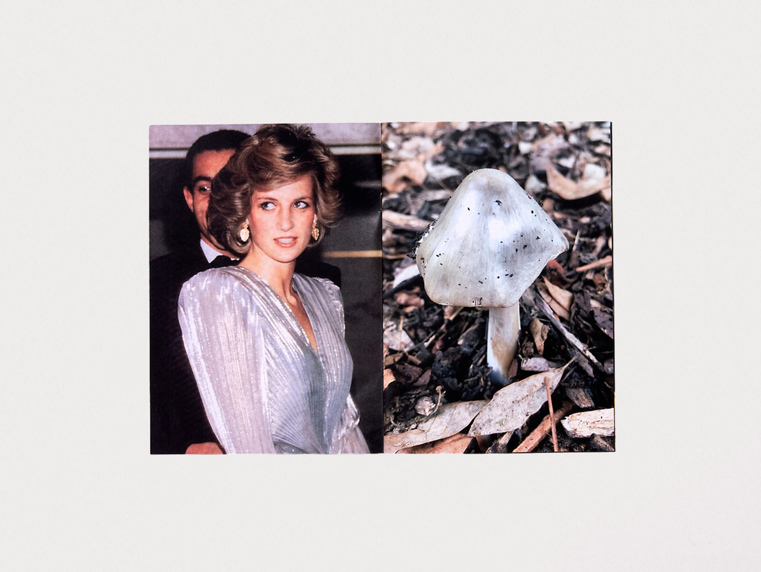 Princess Diana as Mushrooms Volume II