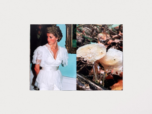 Princess Diana as Mushrooms Volume II